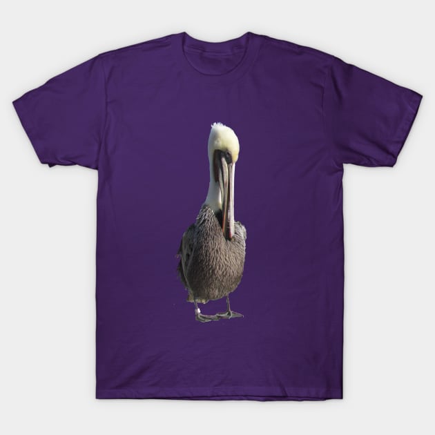 Shy Pelican T-Shirt by BKMuir